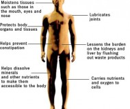 h20chart