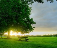 Morning_Sun_1600x1200
