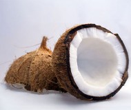 coconuts-photo-01
