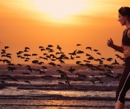 run on beach